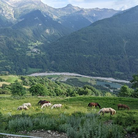 Gite Du Bois De L'Ours 오르시에레 외부 사진