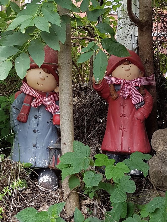 Gite Du Bois De L'Ours 오르시에레 외부 사진